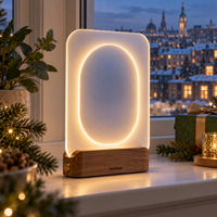 Verlioer™ WindowHalo Acrylic Light